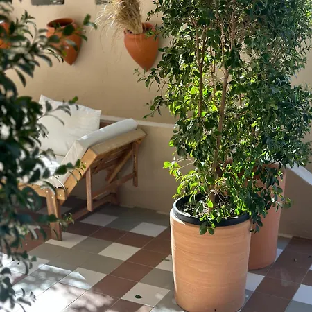 Paradisun - Adults Only Recommended